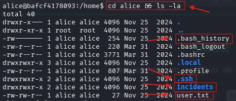 Directorios de usuario Alice