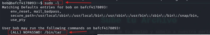 Archivos ejecutables de Bob